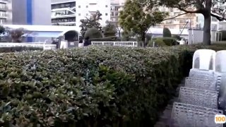 91视频app下载导航